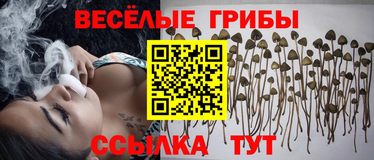 Лесной  Галлюциногенные грибы GOLDEN TEACHER  Вход с VPN  Псилоцибиновые грибы мицелий 